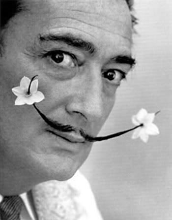 Salvador Dali (Сальвадор Дали) Salvador Dali (Сальвадор Дали)
